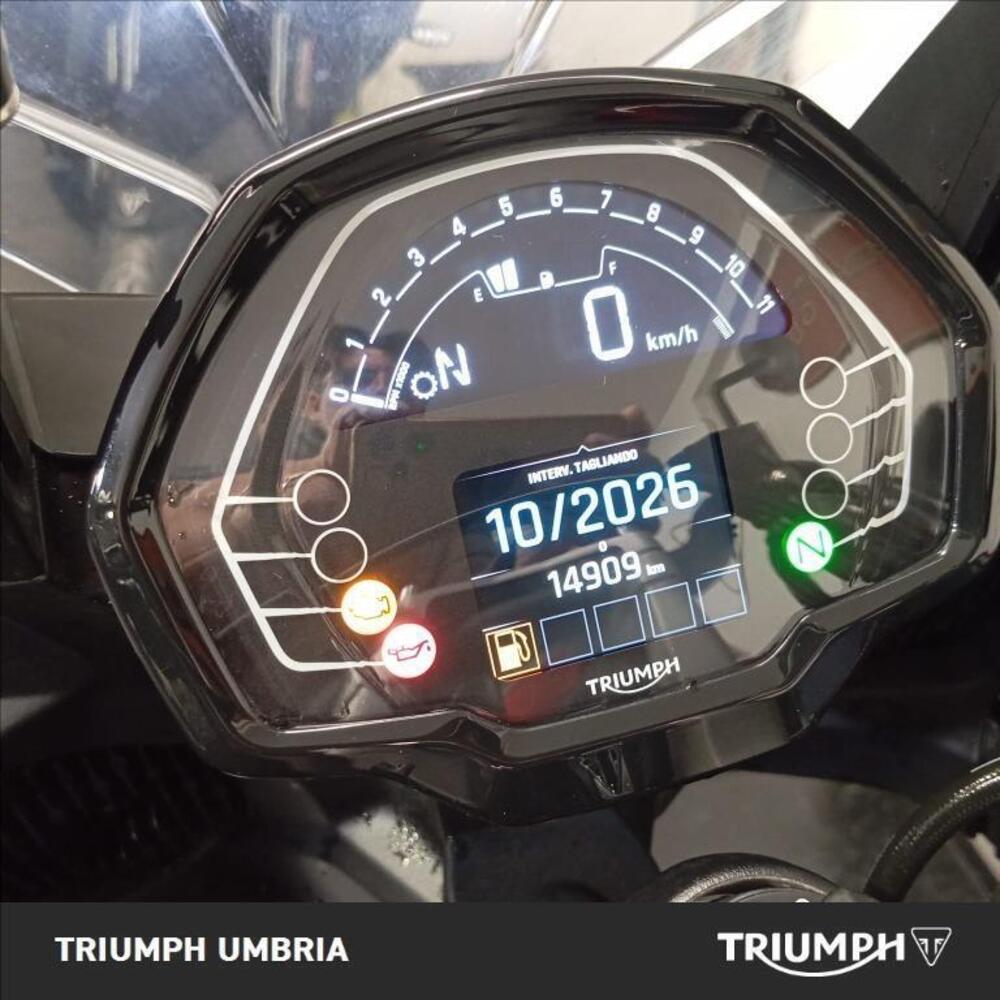 Triumph Tiger Sport 660 (2022 - 24) (7)