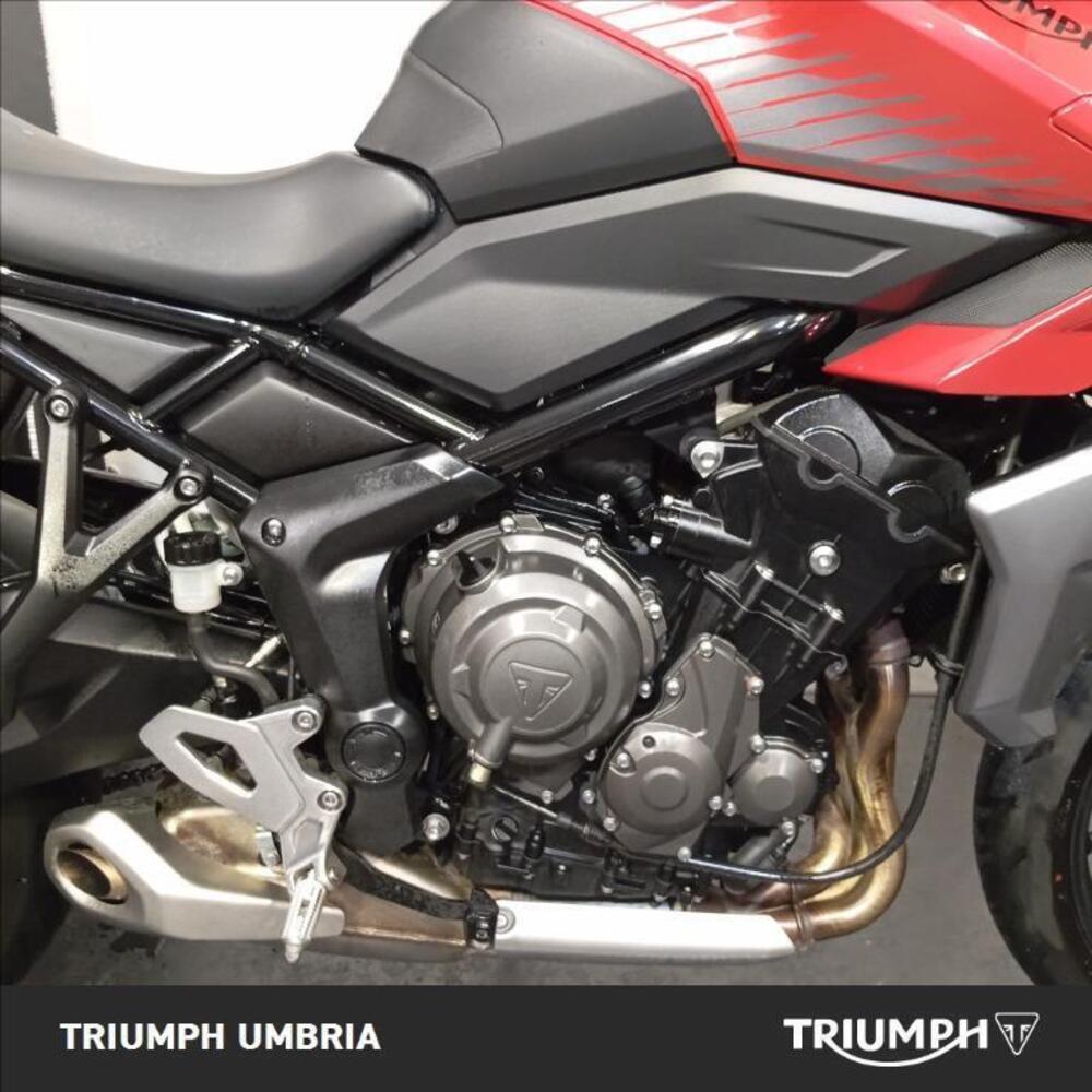 Triumph Tiger Sport 660 (2022 - 24) (10)