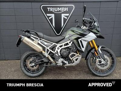 Triumph Tiger 900 Rally Pro (2024 - 25) usata