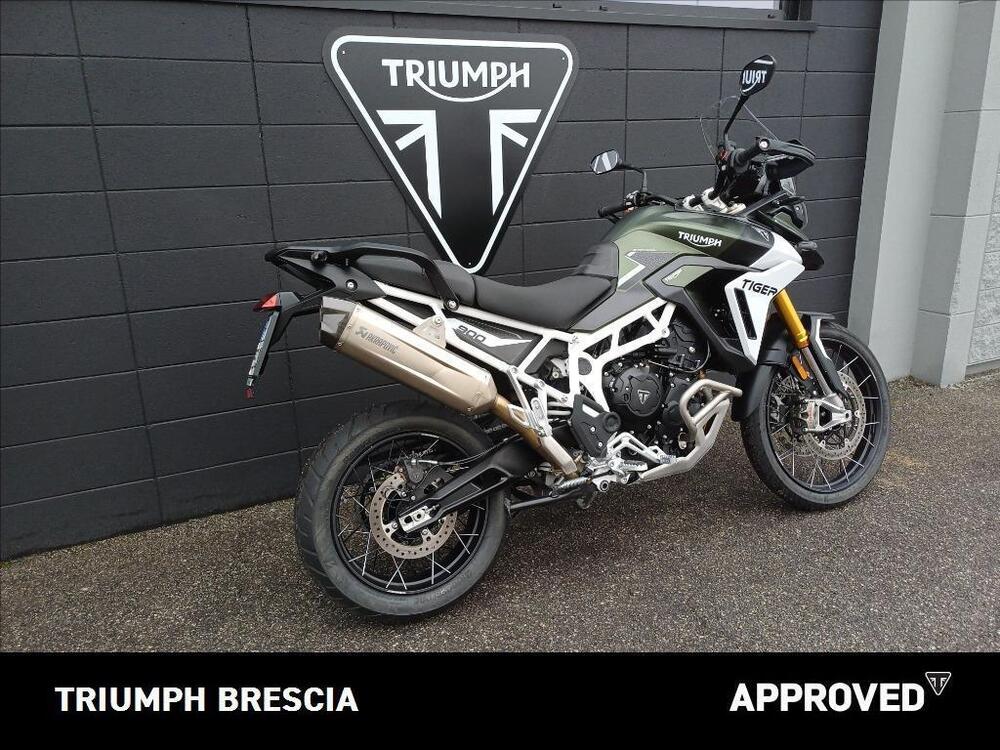 Triumph Tiger 900 Rally Pro (2024 - 25) (3)