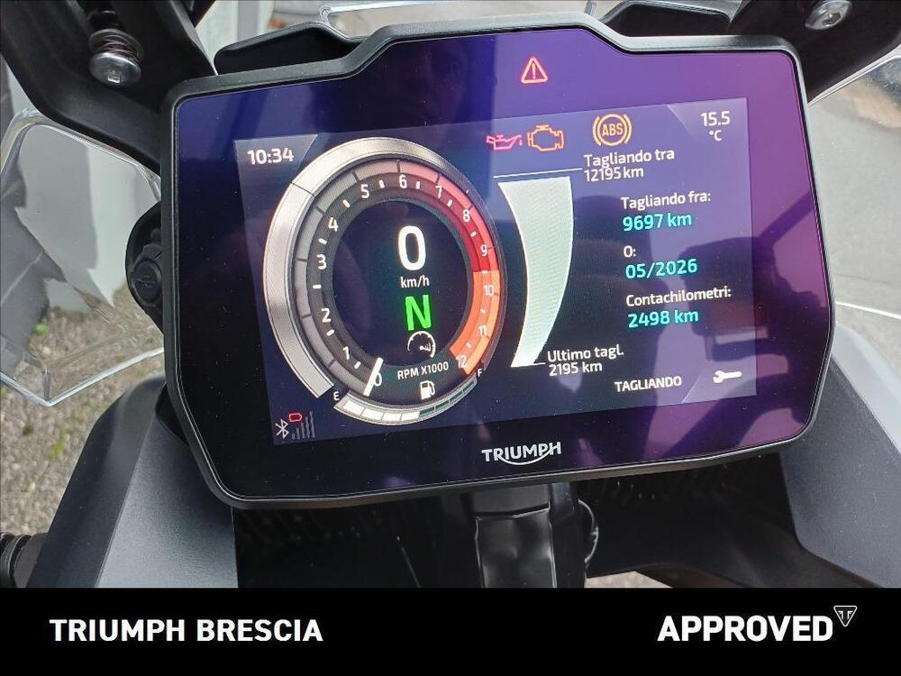 Triumph Tiger 900 Rally Pro (2024 - 25) (9)