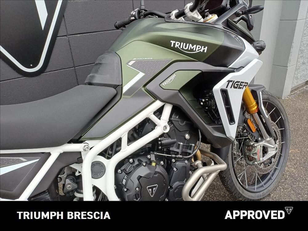 Triumph Tiger 900 Rally Pro (2024 - 25) (5)