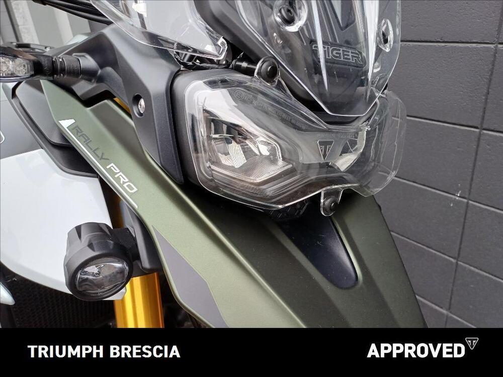Triumph Tiger 900 Rally Pro (2024 - 25) (6)