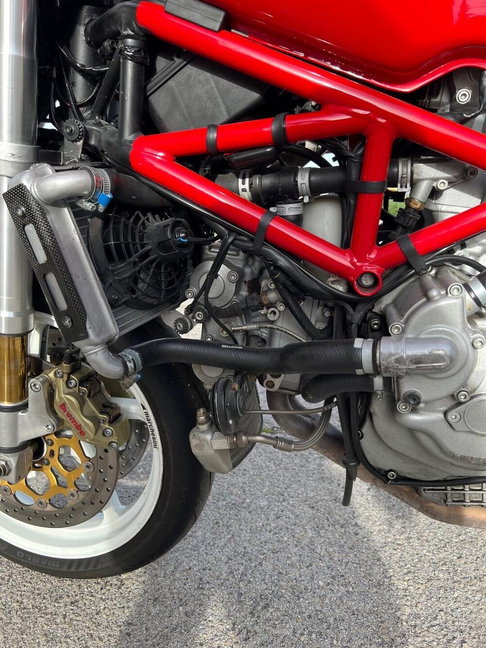 Ducati Monster S4R (2003 - 05) (8)