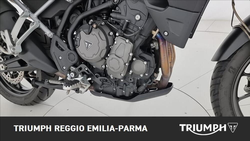 Triumph Tiger 900 GT Pro (2020 - 23) (21)