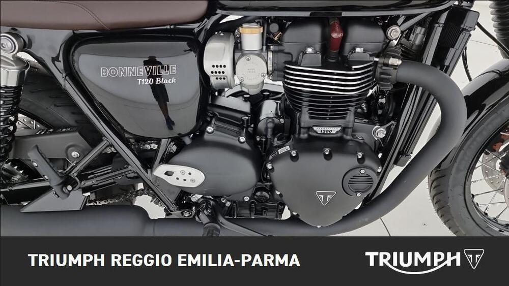 Triumph Bonneville T120 (2021 - 25) (18)