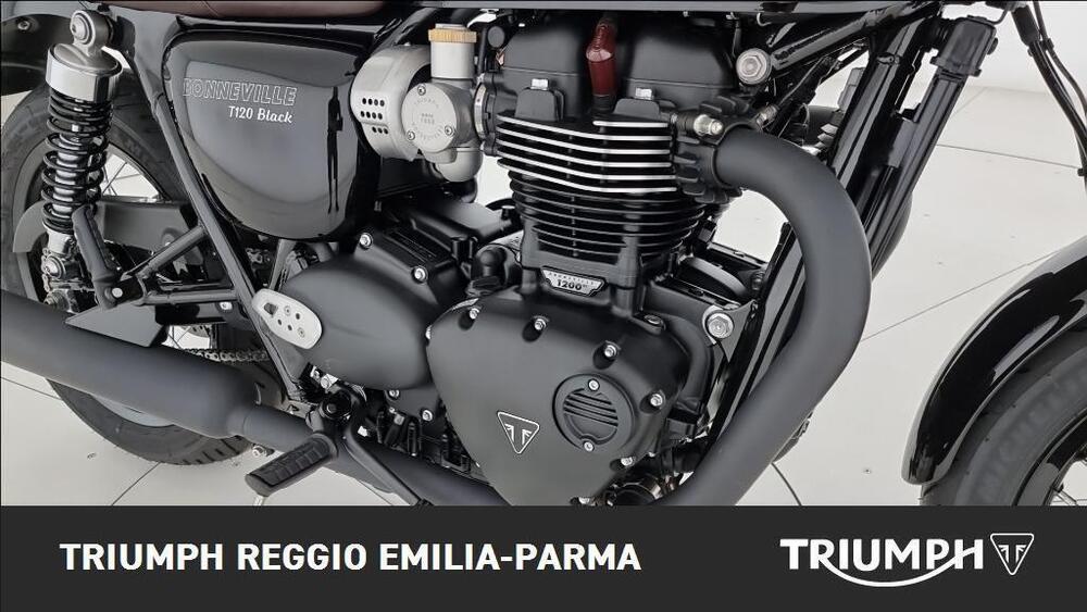 Triumph Bonneville T120 (2021 - 25) (19)