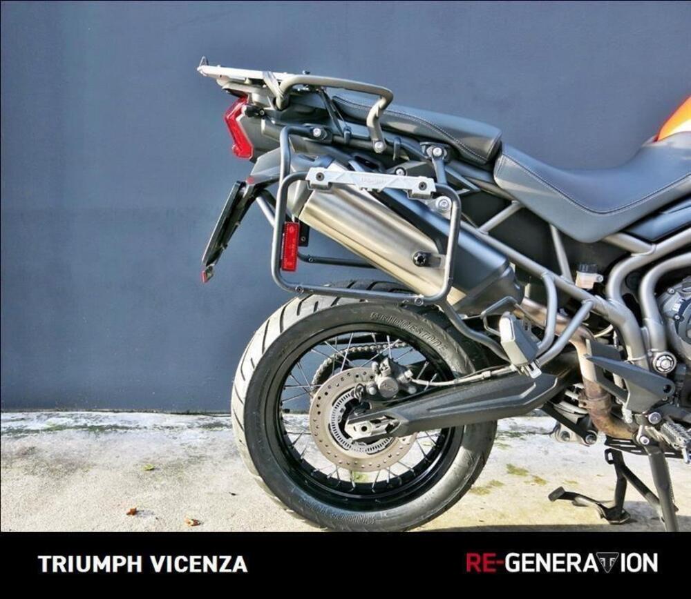 Triumph Tiger 800 XCx (2018 - 20) (13)