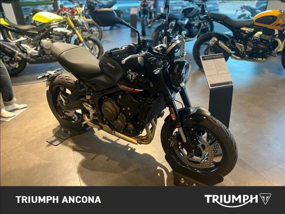 Triumph Trident 660 (2025) (3)