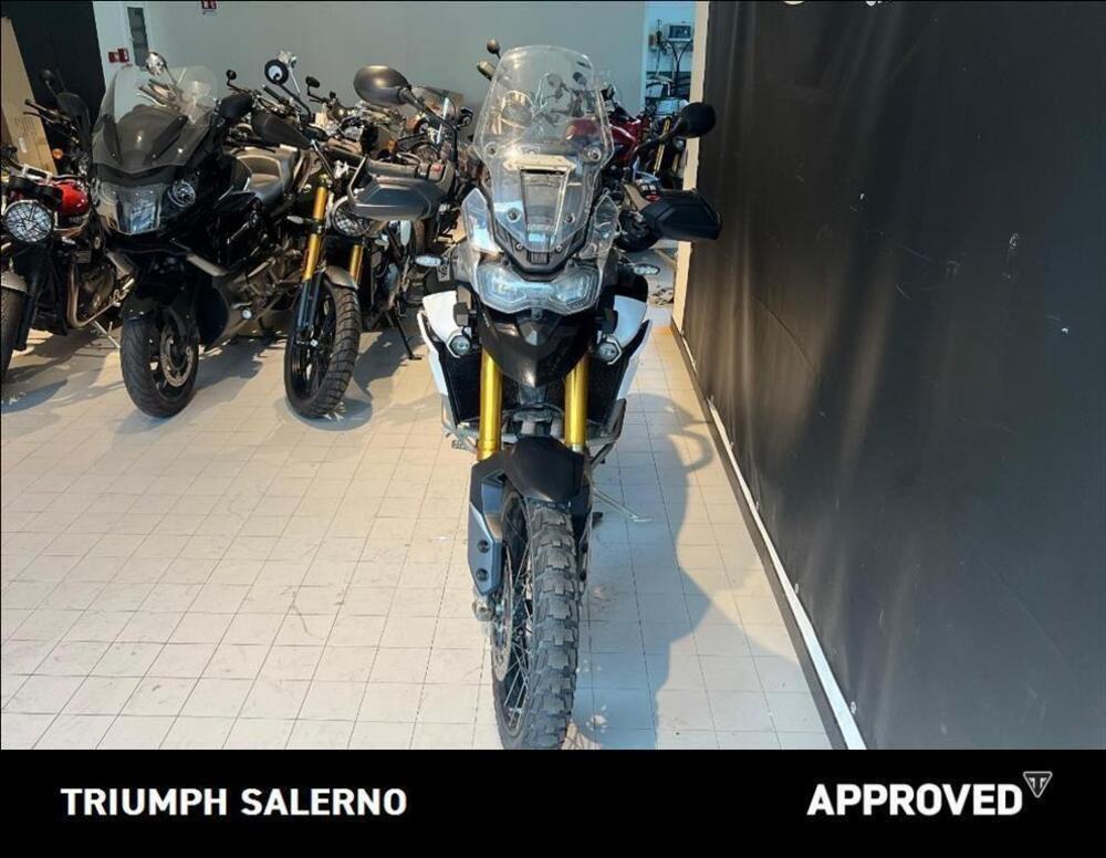 Triumph Tiger 900 Rally Pro (2020 - 23) (3)