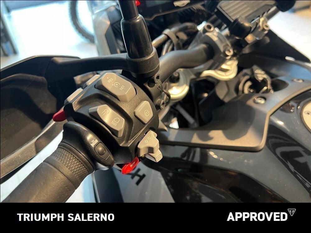 Triumph Tiger 900 Rally Pro (2020 - 23) (9)