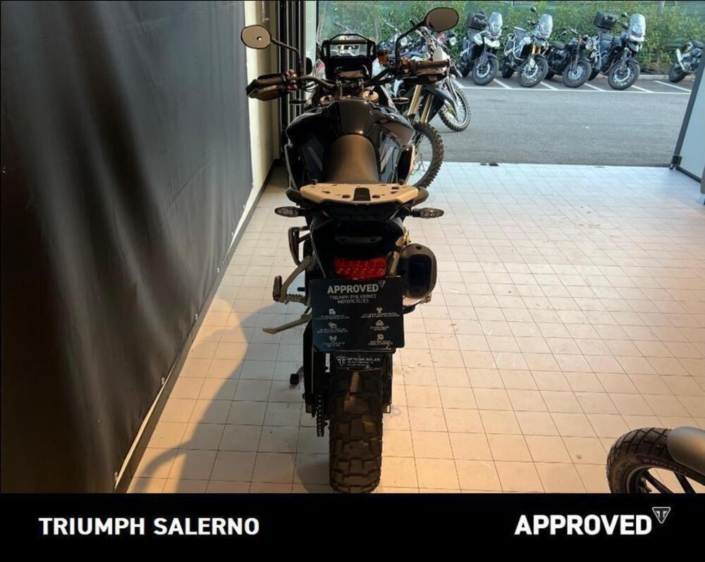 Triumph Tiger 900 Rally Pro (2020 - 23) (6)