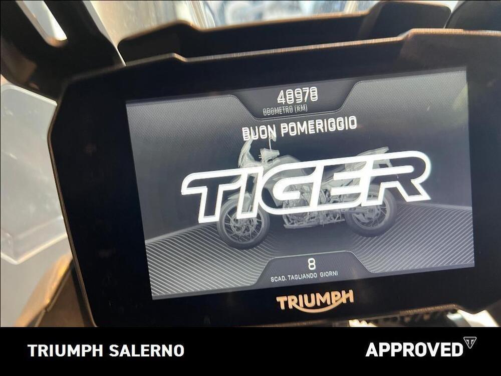 Triumph Tiger 900 Rally Pro (2020 - 23) (10)