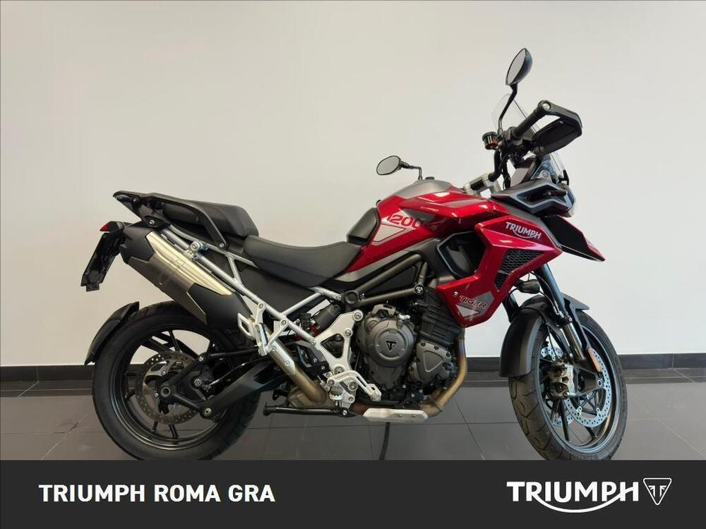 Triumph Tiger 1200 GT Pro (2024 - 25)