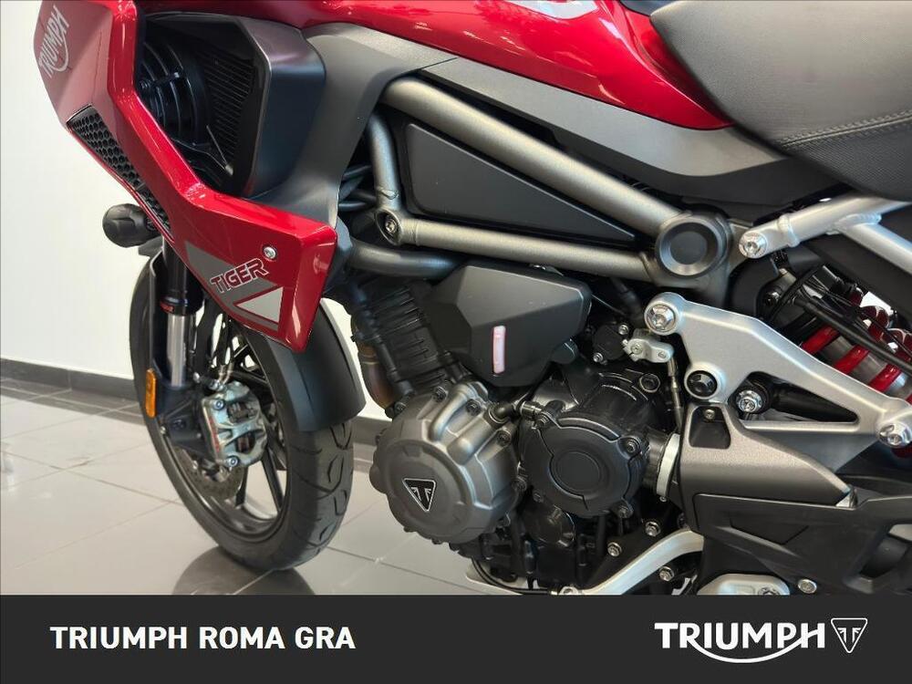 Triumph Tiger 1200 GT Pro (2024 - 25) (8)