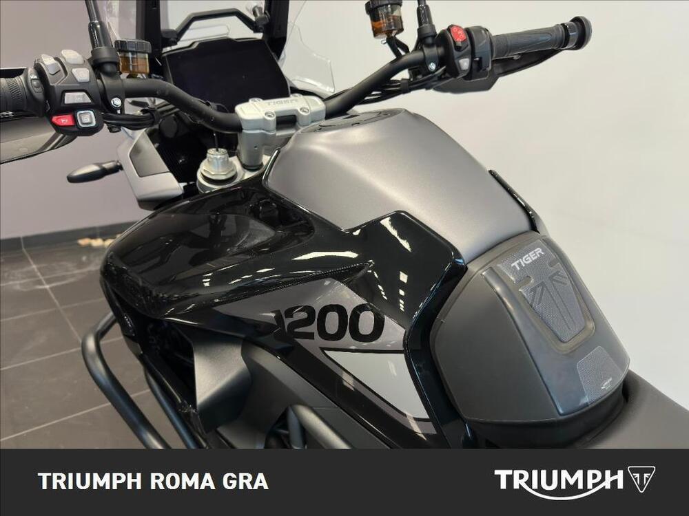 Triumph Tiger 1200 GT Pro (2022 - 23) (15)