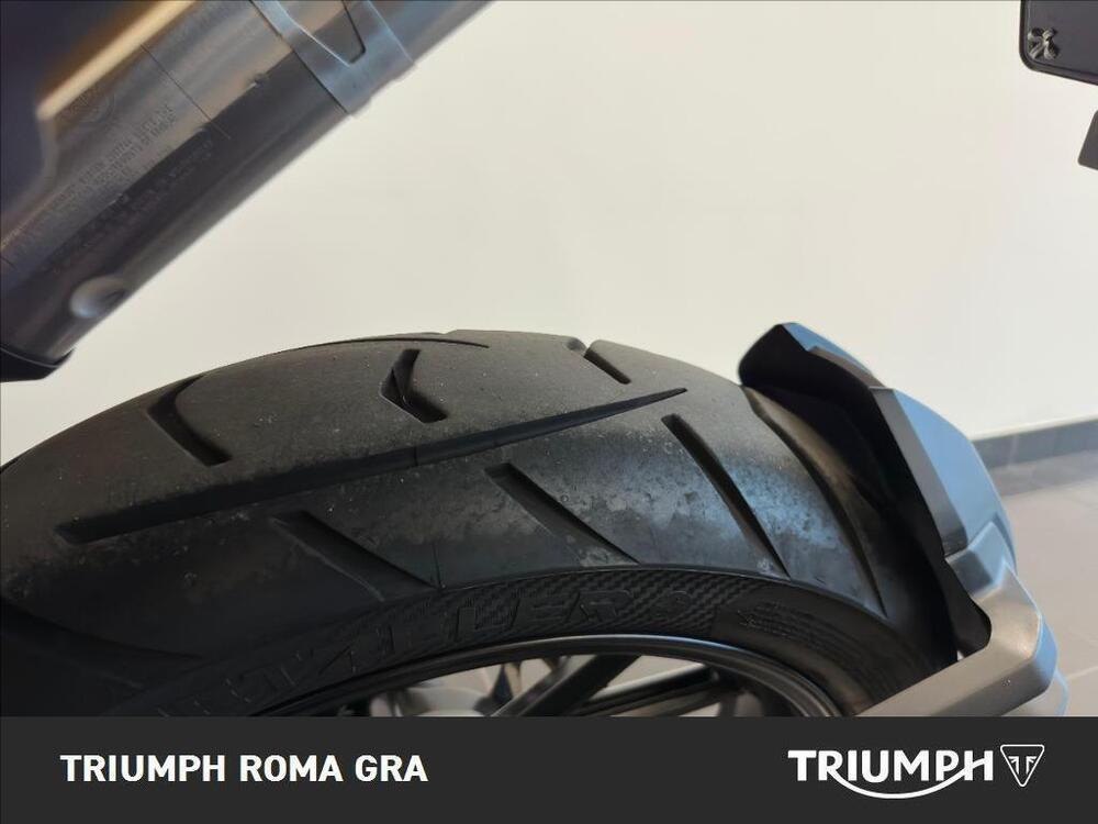 Triumph Tiger 1200 GT Pro (2022 - 23) (13)