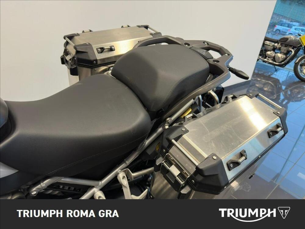 Triumph Tiger 1200 Rally Pro (2022 - 23) (12)