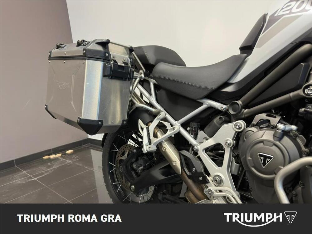 Triumph Tiger 1200 Rally Pro (2022 - 23) (6)