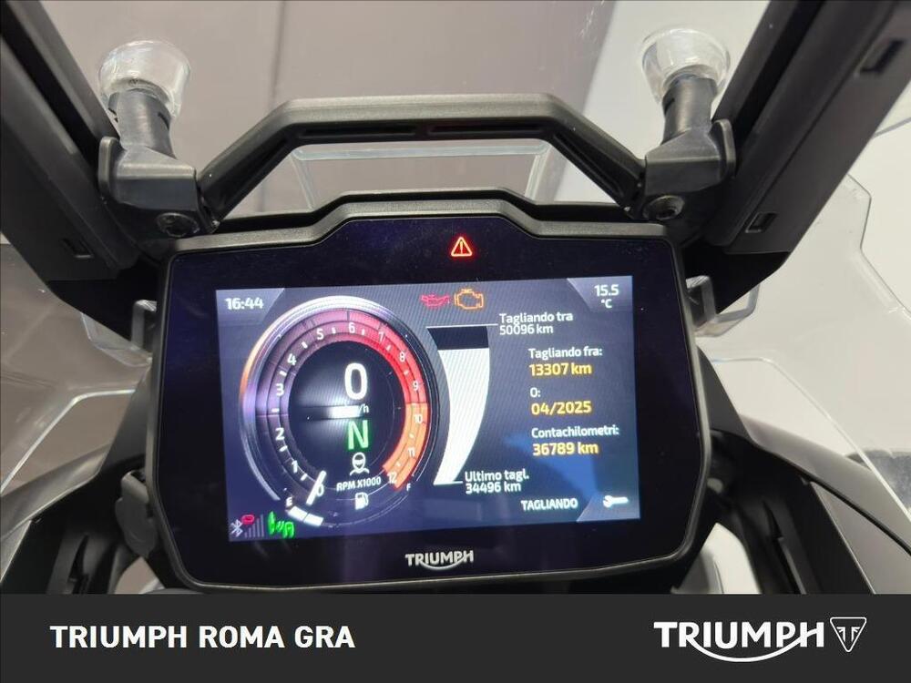 Triumph Tiger 1200 Rally Explorer (2022 - 23) (4)