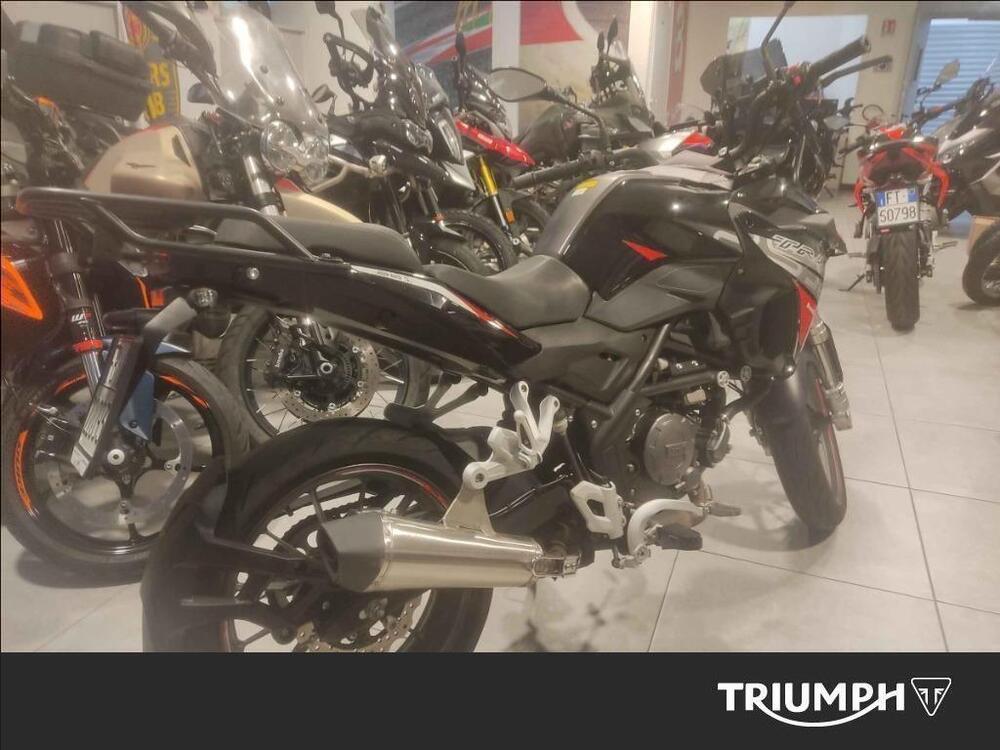 Benelli TRK 251 (2022 - 25) (3)