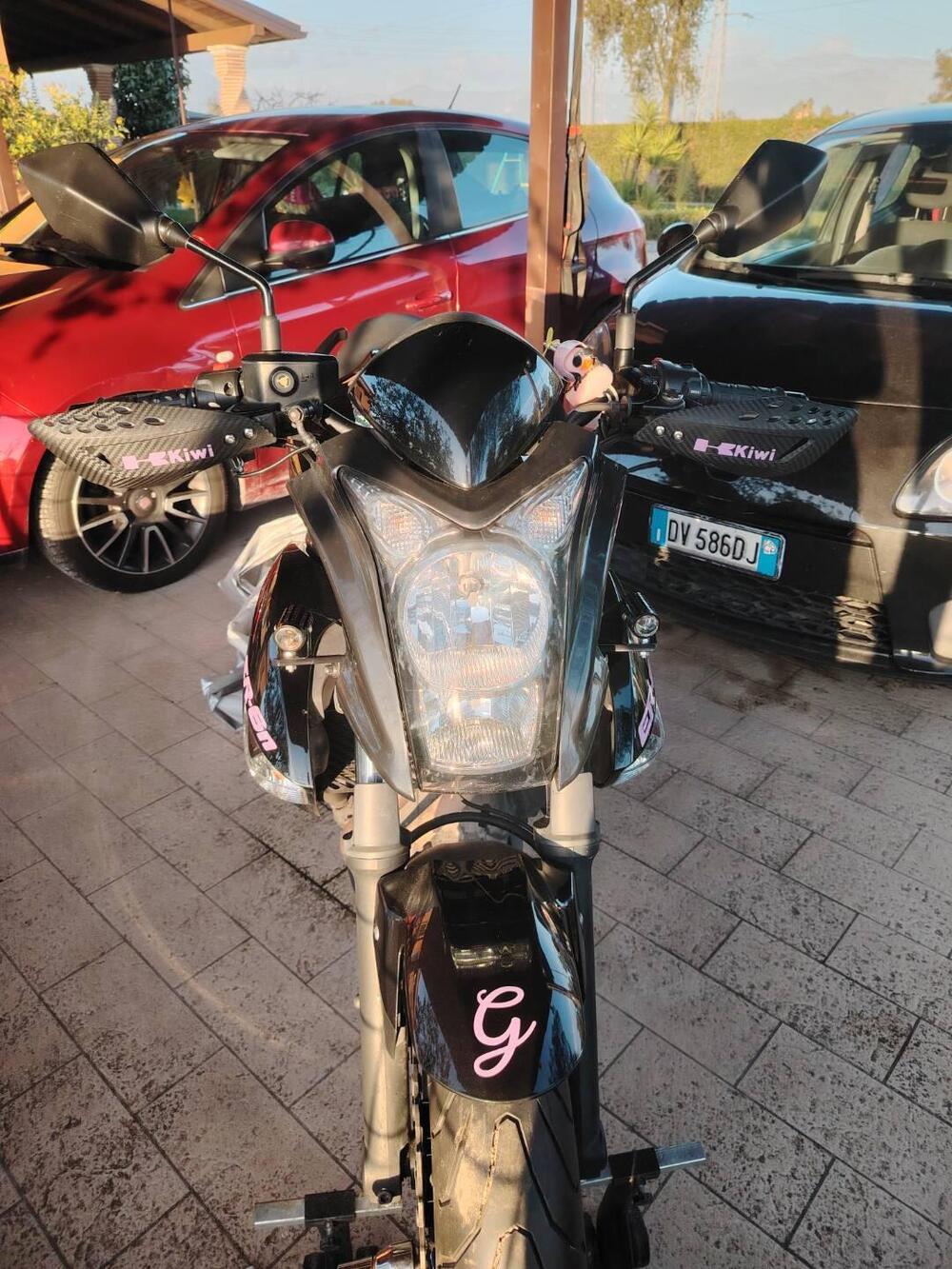 Kawasaki ER-6N (2009 - 11) (6)