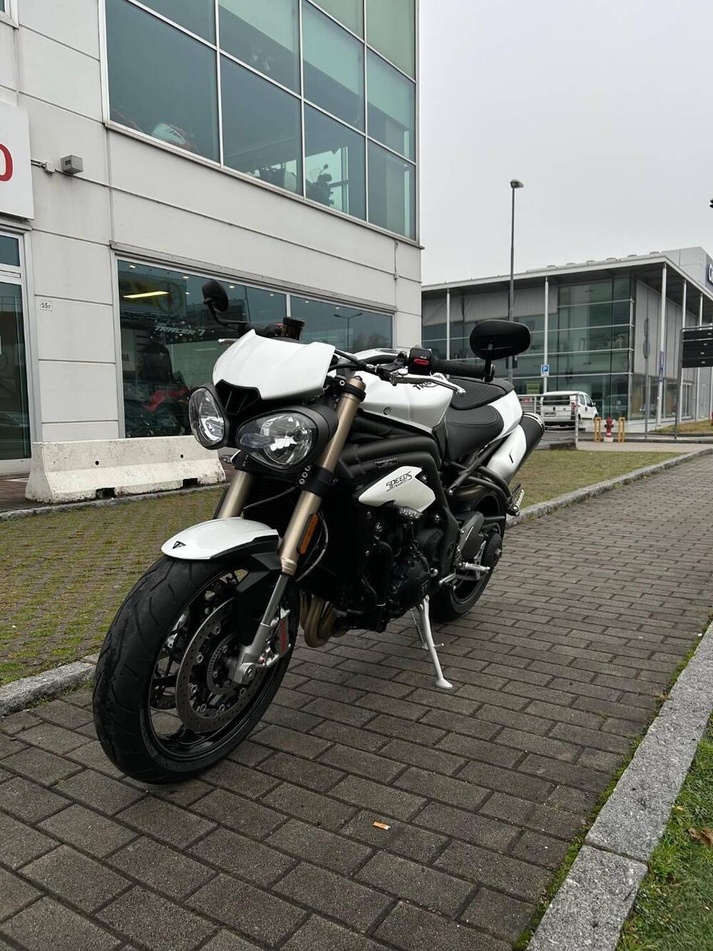 Triumph Speed Triple 1050 S (2018 - 20) (3)