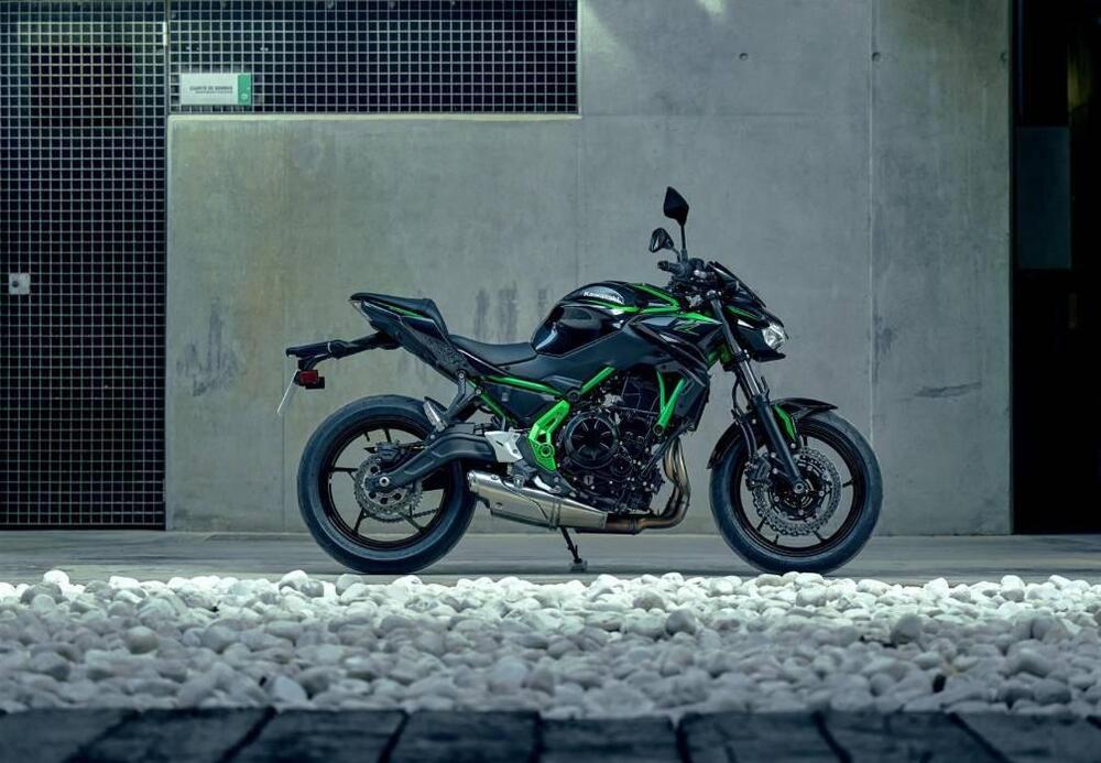 Kawasaki Z 650 (2025 - 26) (11)