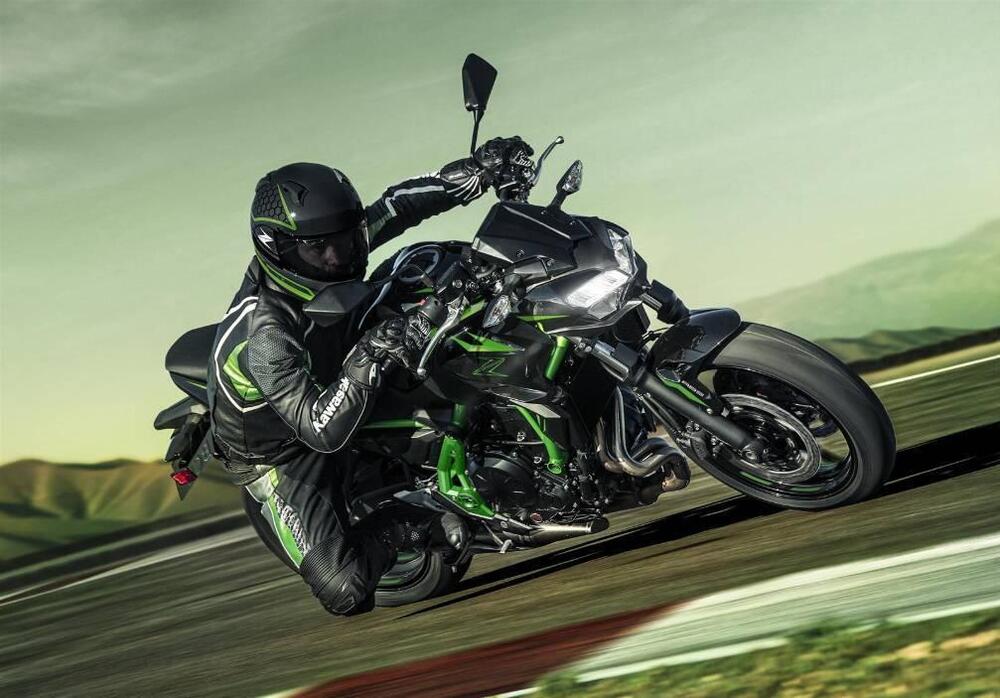 Kawasaki Z 650 (2025 - 26) (15)