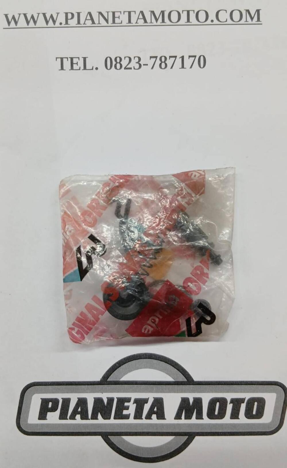 AP8118812 REVISIONE POMPA POST RS Aprilia