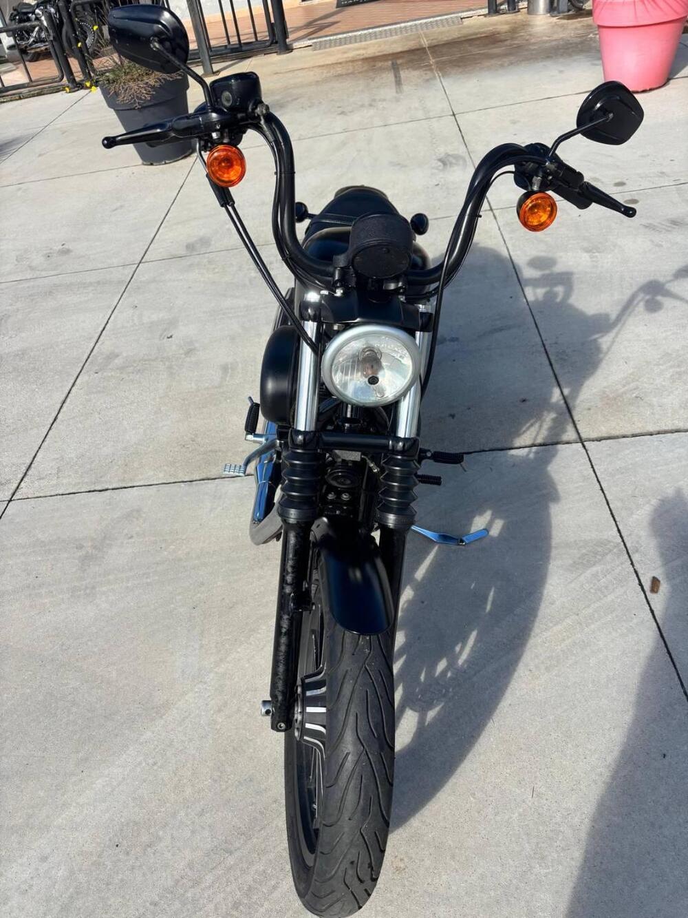 Harley-Davidson 883 Iron (2014 - 16) - XL 883N (3)