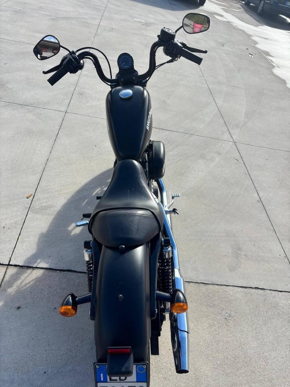 Harley-Davidson 883 Iron (2014 - 16) - XL 883N (4)