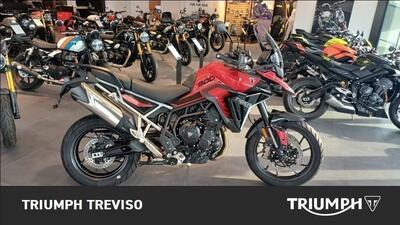 Triumph Tiger 900 GT Pro (2024 - 25) usata