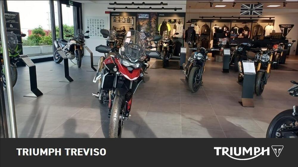 Triumph Tiger 900 GT Pro (2024 - 25) (3)