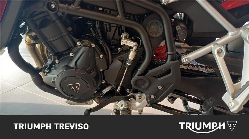 Triumph Tiger 900 GT Pro (2024 - 25) (7)