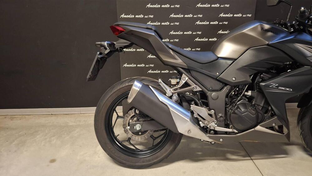 Kawasaki Z 300 ABS (2015 - 16) (3)