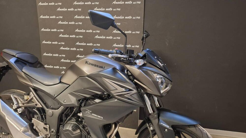 Kawasaki Z 300 ABS (2015 - 16) (4)