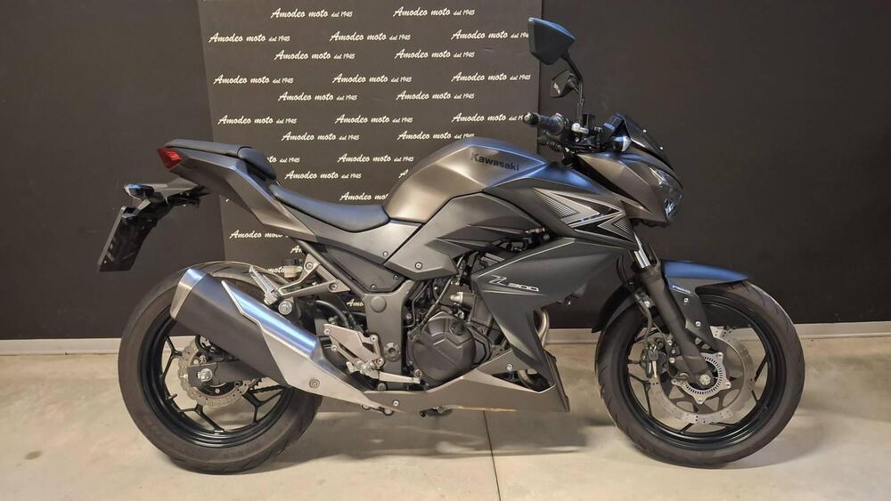 Kawasaki Z 300 ABS (2015 - 16)