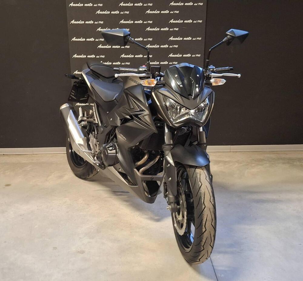 Kawasaki Z 300 ABS (2015 - 16) (2)