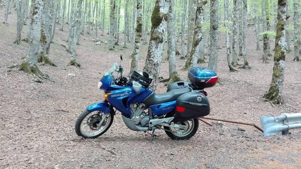 Honda Transalp XL 650V (2000 - 04)