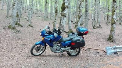 Honda Transalp XL 650V (2000 - 04) usata