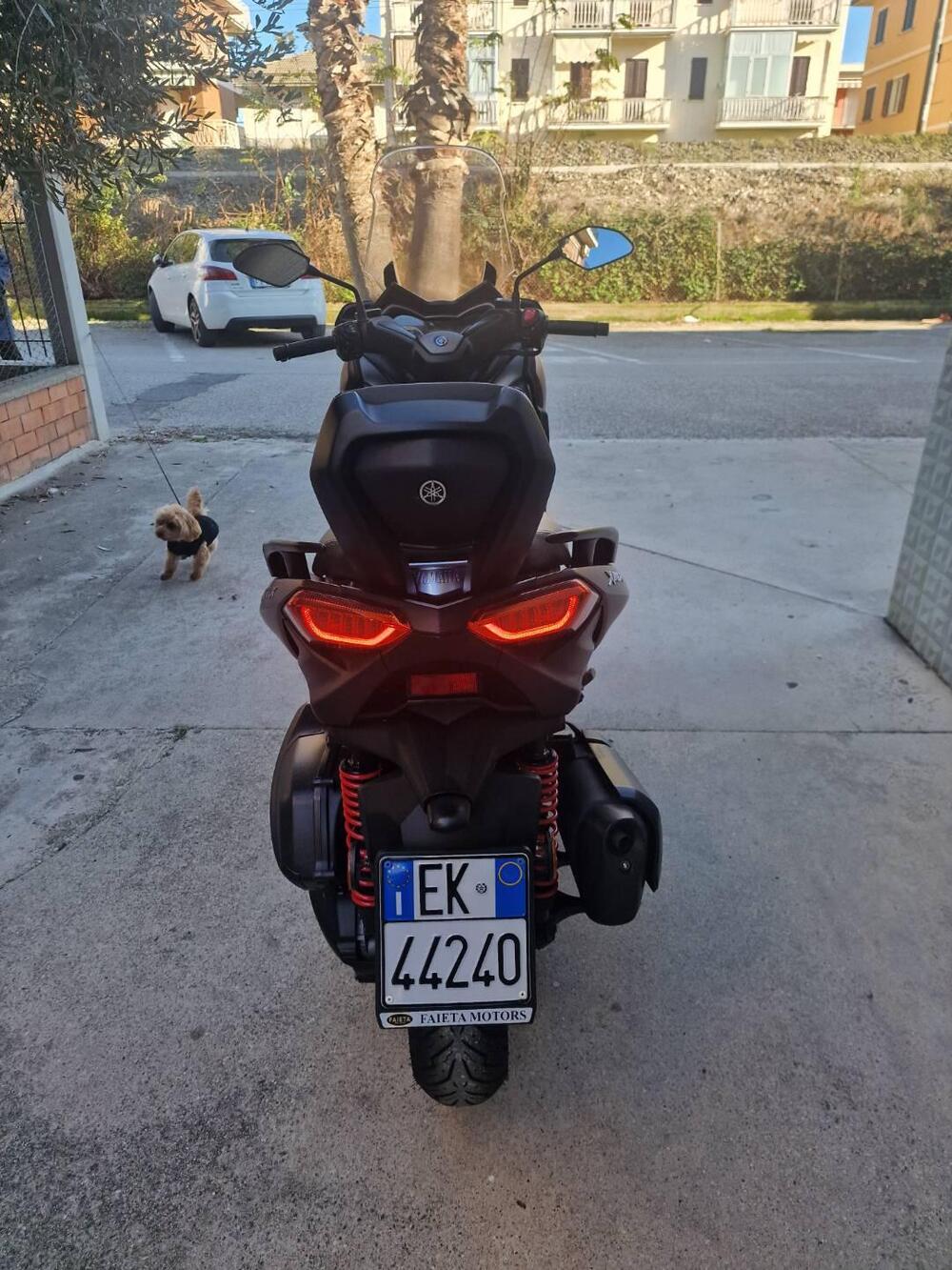 Yamaha X-Max 300 ABS (2017 - 20) (3)