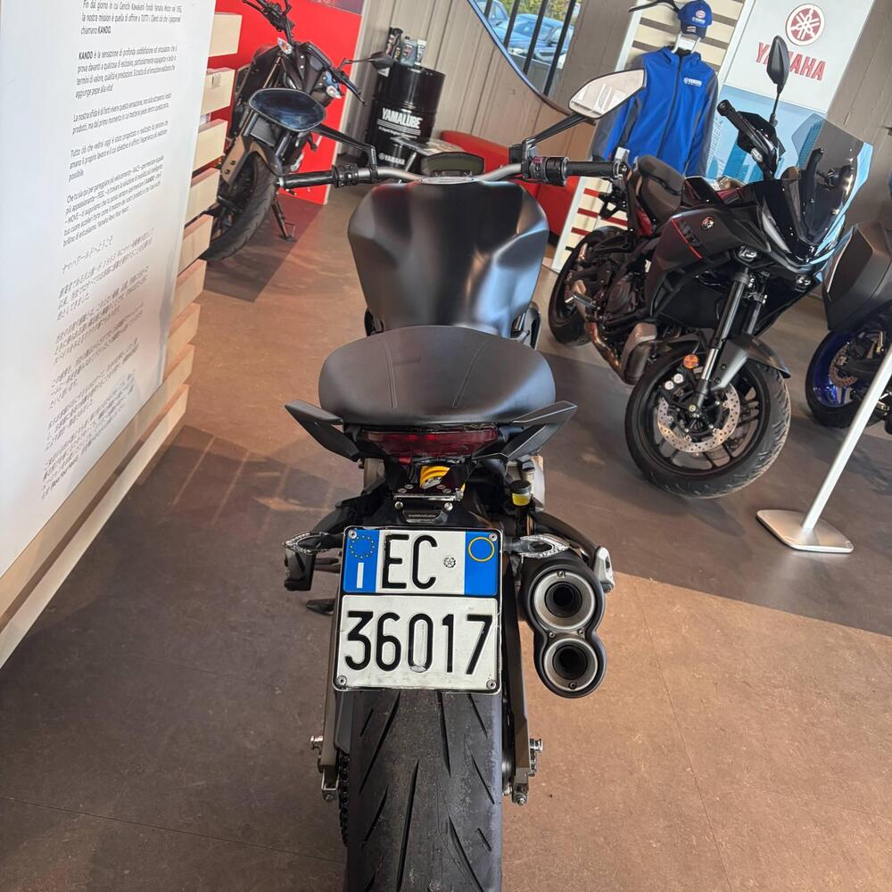 Ducati Monster 821 ABS (2014 - 17) (2)