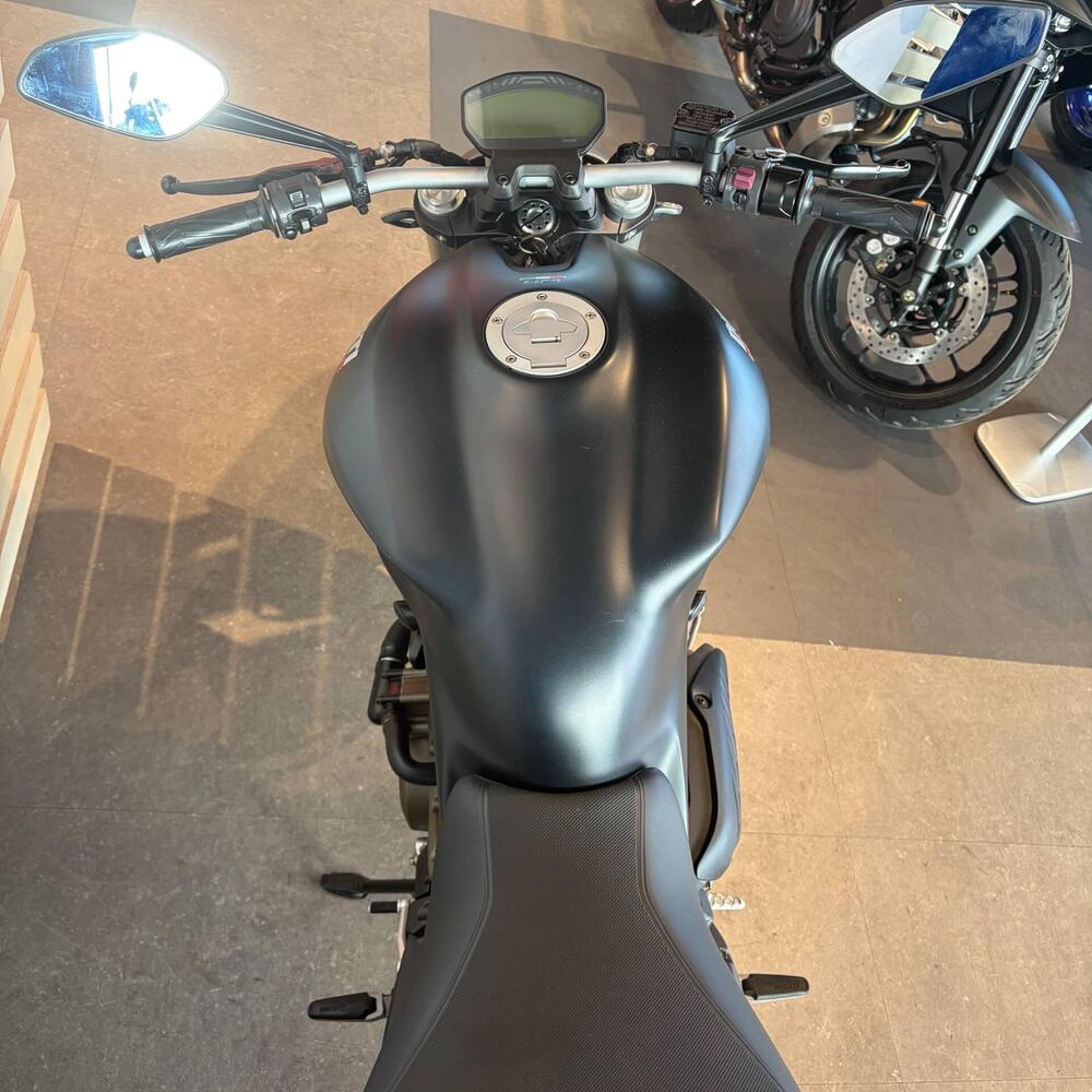 Ducati Monster 821 ABS (2014 - 17) (3)