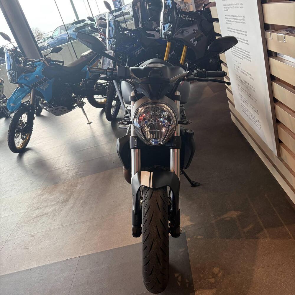 Ducati Monster 821 ABS (2014 - 17) (7)