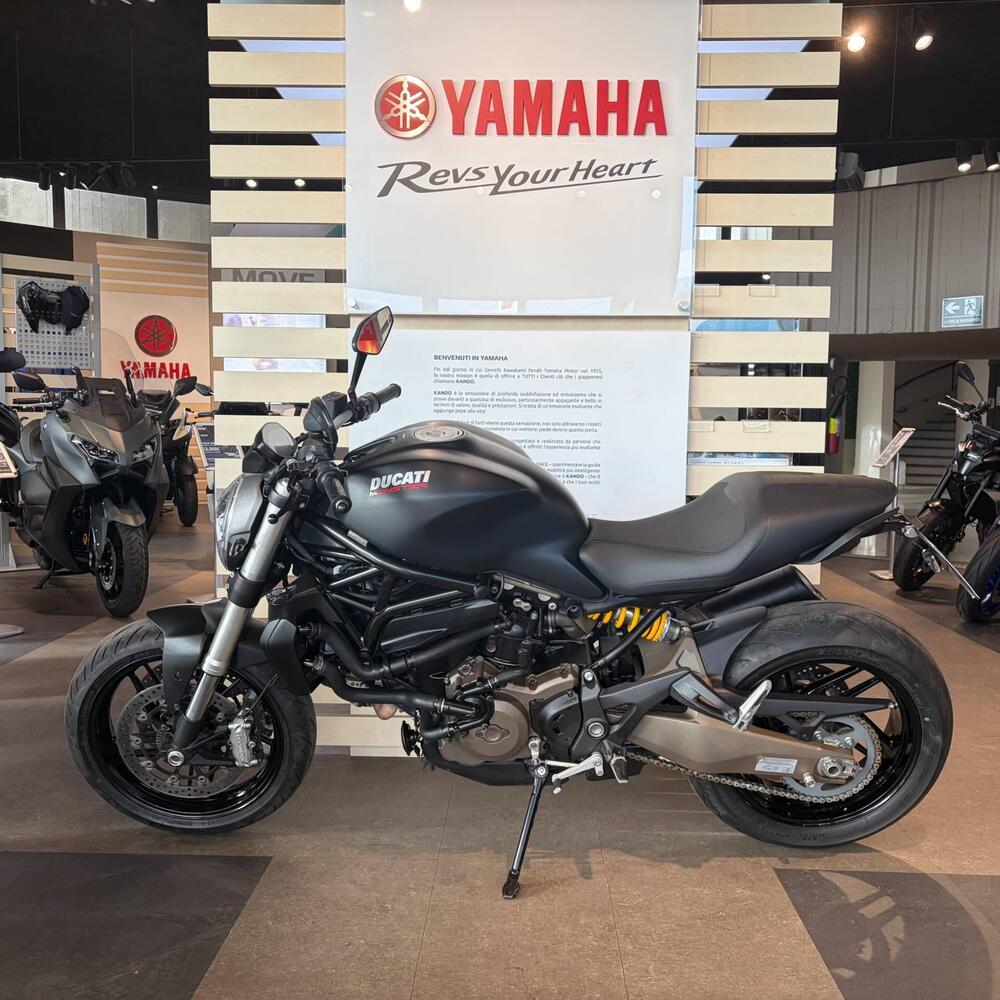 Ducati Monster 821 ABS (2014 - 17) (8)