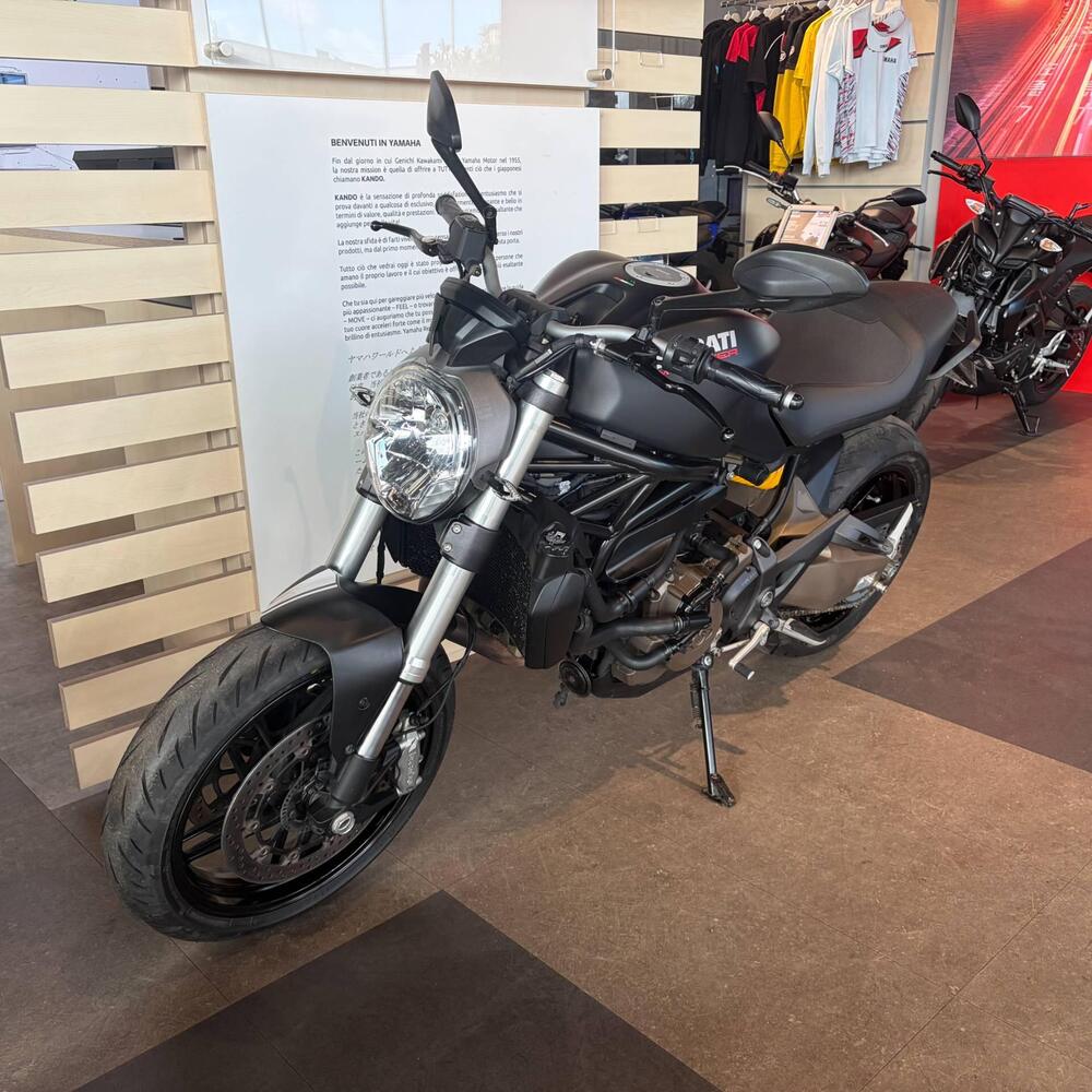 Ducati Monster 821 ABS (2014 - 17) (9)