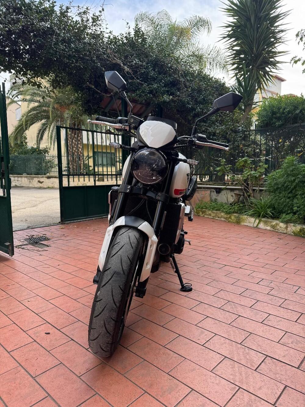 Triumph Trident 660 (2021 - 24) (3)