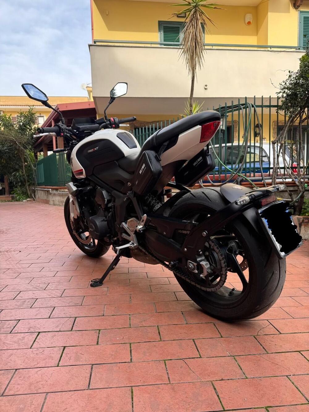 Triumph Trident 660 (2021 - 24) (5)