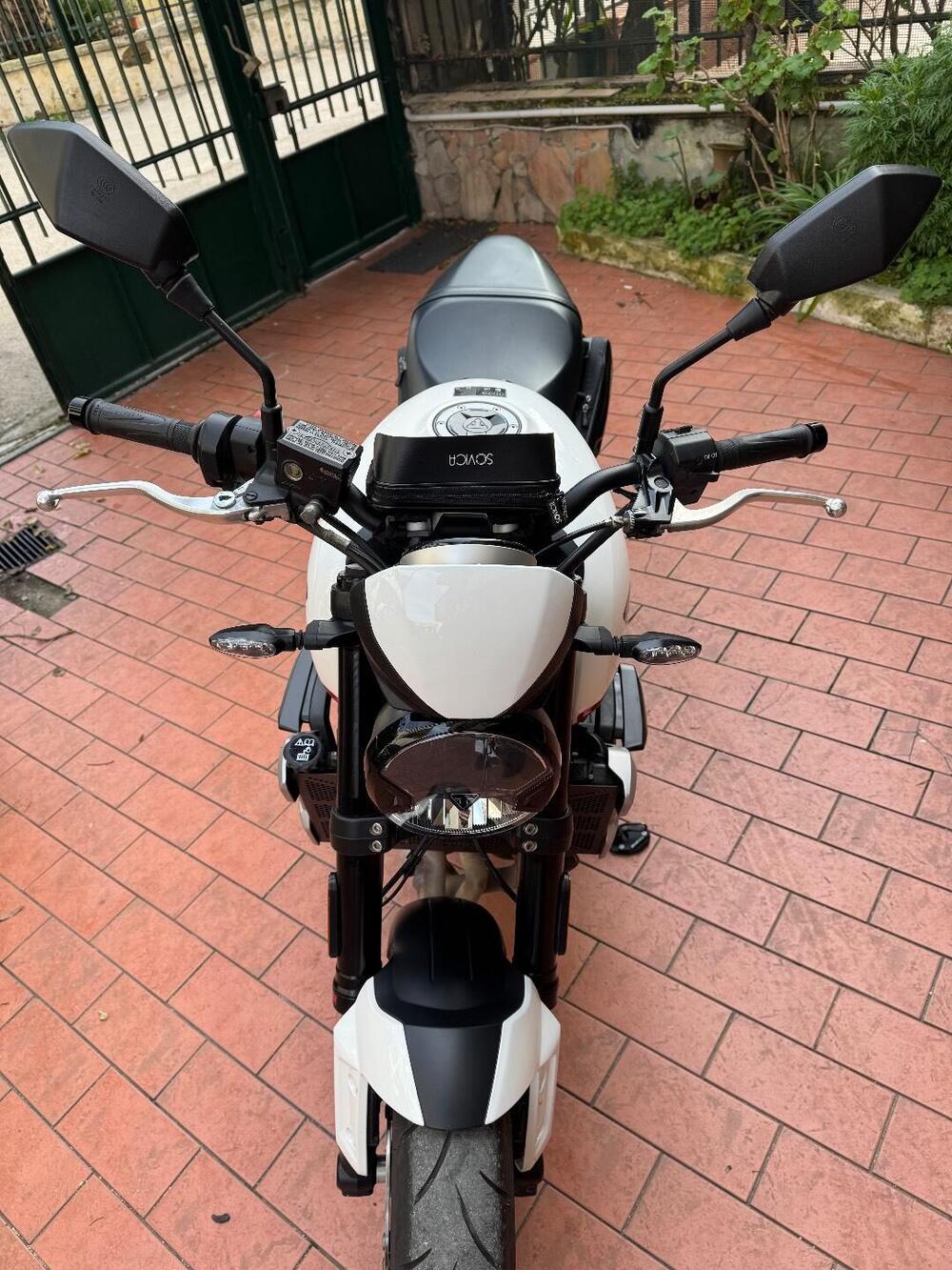 Triumph Trident 660 (2021 - 24) (7)